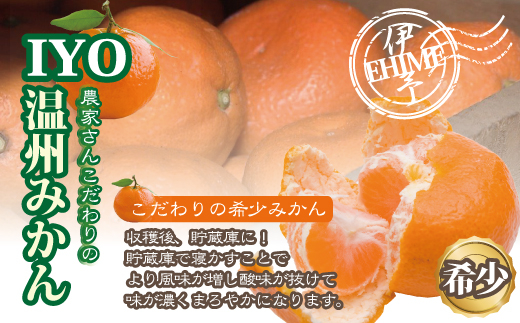 みかん 愛媛 早生みかん 約4kg 人気 数量限定 柑橘 伊予市｜B173