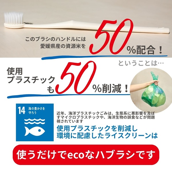 歯ブラシ お米歯ブラシ ライスクリーン ふつう 6本 【3色×2本】お米でできた歯ブラシ オーラルケア ハブラシ 山陽物産｜B439