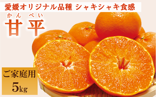 みかん 愛媛 甘平（約5kg）家庭用 L〜３Lサイズ 人気 数量限定 先行予約 柑橘 伊予市｜C51