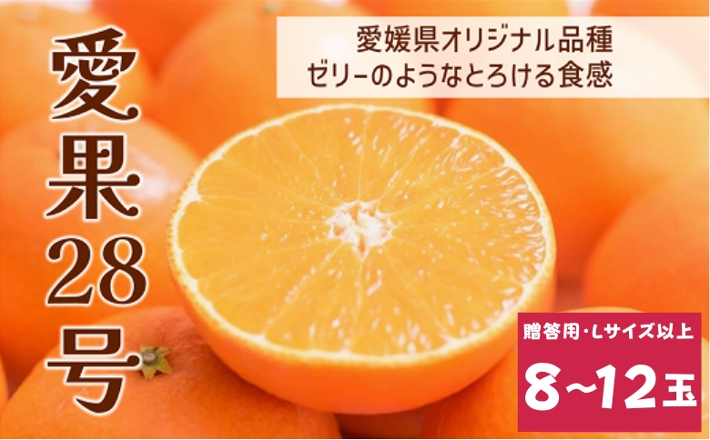 【2026年先行予約】みかん 愛果28号 8〜12玉 Lサイズ以上 贈答用 紅まどんな同一品種 【2026年12月以降順次発送予定】 愛媛 数量限定 愛媛県産 人気 柑橘 フルーツ 国産 おすすめ 伊予市｜C183