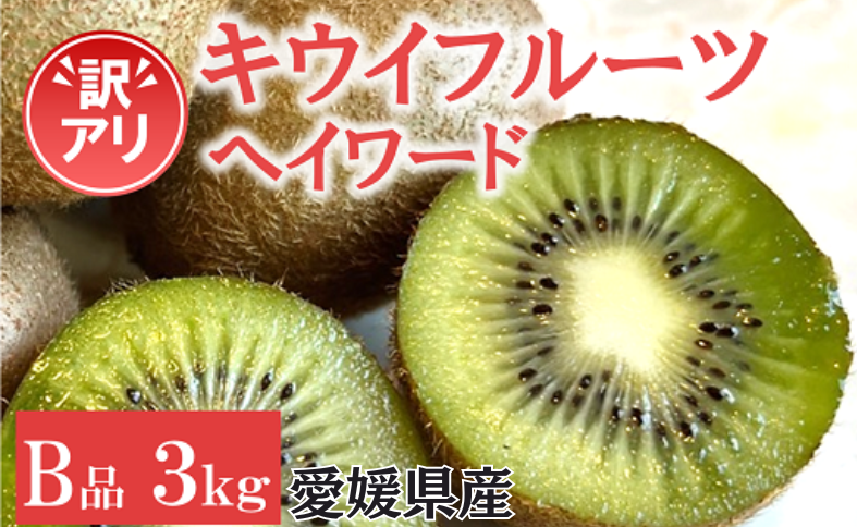 訳あり キウイ 3kg B品 愛媛 国産 キウイフルーツ ヘイワード 数量限定 伊予市 【2024年11月配送】｜B263