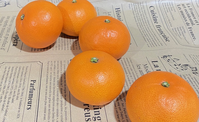 せとか 約1.7kg 12玉 みかんのおと みかん 愛媛 先行予約 【2026年4月以降発送】 数量限定 愛媛県産 人気 柑橘 伊予市｜B309