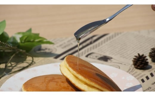 はちみつ びわ蜜×２本【2026年1月末以降発送】藤田養蜂場 ハチミツ 蜂蜜 ｜B38