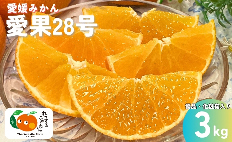 愛果28号 3kg 優品 レッスルファーム みかん 紅まどんなと同一品種 愛媛【2025年12月中旬以降順次発送】先行予約 数量限定 お取り寄せ おすすめ 美味しい おいしい グルメ フルーツ くだもの 愛媛県産 人気 柑橘 伊予市｜B252