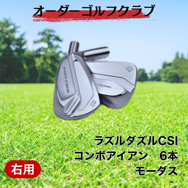 ゴルフ ゴルフクラブ ラズルダズルCSIコンボアイアン モーダス 日本シャフト STMグリップ オーダーメイド アイズファクトリー｜F66