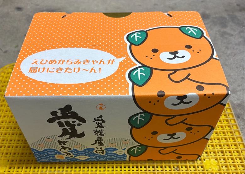 みかん 愛果28号 Lサイズ 12玉（みきゃん箱）【2026年11月下旬から順次発送予定】先行予約 紅まどんなと同一品種 愛媛 人気 柑橘 国産 フルーツ 伊豫果園 伊予市｜B527
