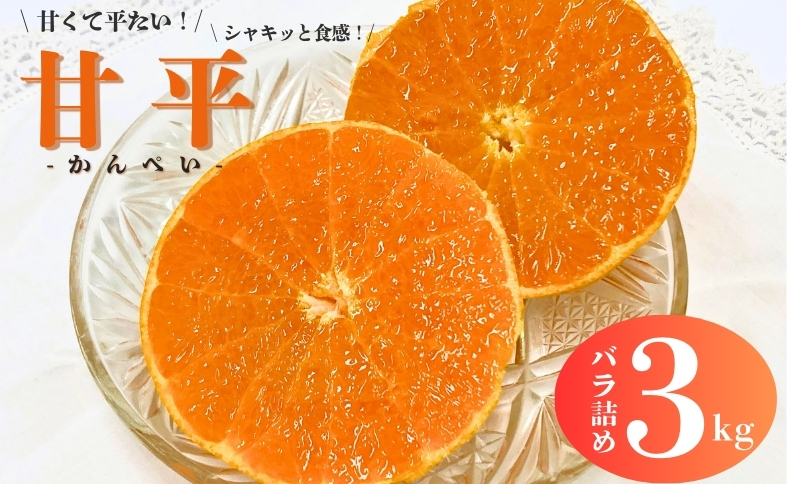 みかん 愛媛 甘平 3kg バラ詰め ご家庭用 農園直送 先行予約 【2026年1月中旬から順次発送予定】 愛媛県産 数量限定 人気 柑橘 伊予市｜B518