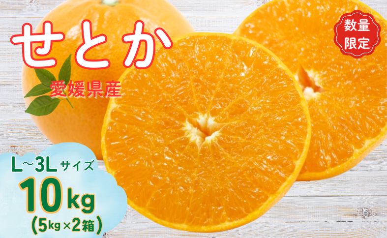 せとか L～3Lサイズ 10kg  みかん 愛媛  人気 数量限定 先行予約 柑橘 伊予市【2026年2月中旬順次発送】｜D125