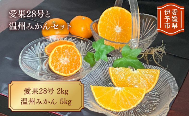 みかん 愛果28号と温州みかんのセット 小玉マルチ 年内配送 紅まどんなと同一品種 人気 数量限定 愛媛 柑橘 伊予市 【2025年12月上旬から順次発送予定】｜B163