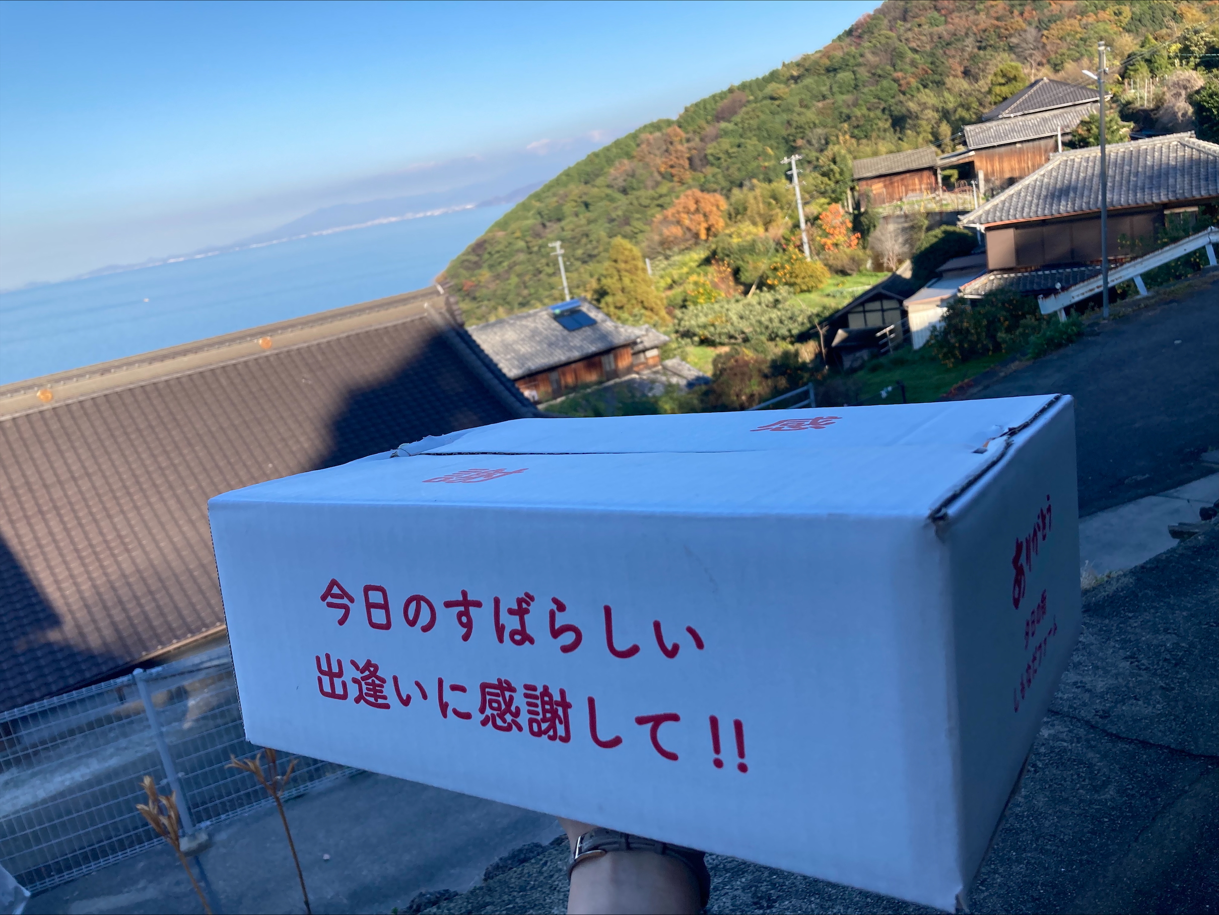 ã¿ãã ææ28å· Mãµã€ãº 14ç èŽççš çŽ
ãŸã©ããªãšåäžåçš® 蟲åçŽé å
è¡äºçŽ ã2026幎11æäžæ¬ããé æ¬¡çºéäºå®ã æåª æ°ééå® æåªçç£ äººæ° ææ© äŒäºåžïœ B530