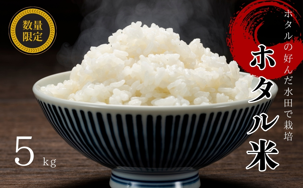 お米 5kg コシヒカリ 精米 されだにホタル米 | B111