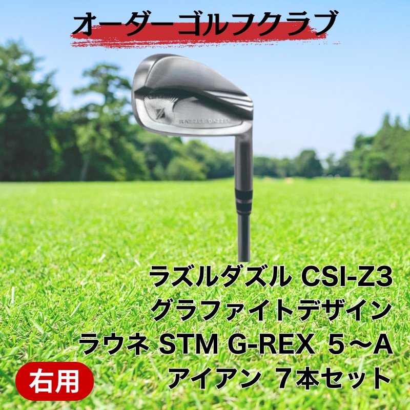 ゴルフ ゴルフクラブ ラズルダズルCSI-Z3 アイアンセット グラファイトデザイン ラウネ オーダーメイド アイズファクトリー｜F41