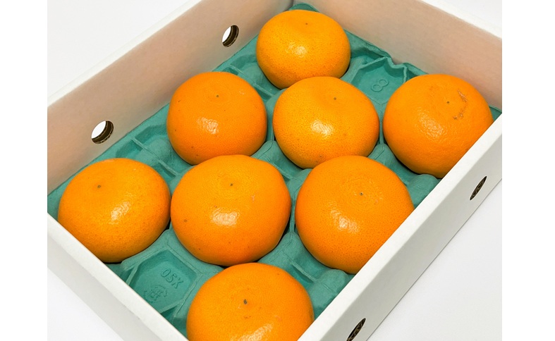 【2027年先行予約】みかん 愛媛 せとか (1.5kg) 人気 数量限定 【2027年2月下旬以降発送予定】 柑橘 愛媛 伊予市｜B30