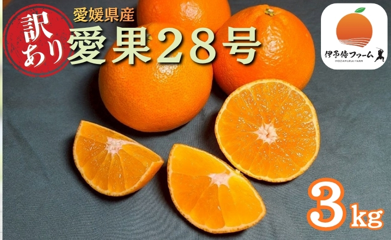 【2026年先行予約】みかん 訳あり 愛果28号 紅まどんなと同一品種 3kg サイズミックス ご家庭用 【12月から順次発送予定】 愛媛 人気 数量限定 柑橘 伊予侍ファーム 伊予市｜B457