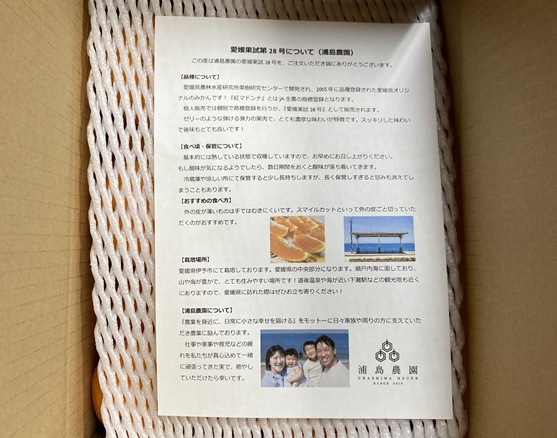 訳あり 愛果28号 5kg サイズミックス 【2026年12月中旬から順次発送予定】 紅まどんなと同一品種 みかん 愛媛 数量限定 先行予約 柑橘 伊予市｜B220