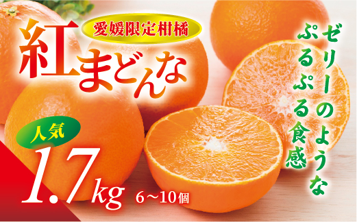 【先行予約】【数量限定】紅まどんな 1.7kg（6～10個）愛果28号 愛媛果試第28号 みかん 柑橘 人気 愛媛 伊予市＜2024年11月下旬から順次発送＞｜B36