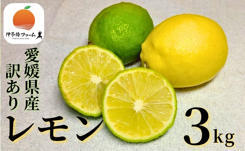 【2026年先行予約】レモン 3kg ご家庭用 バラ詰め ユーレカ 愛媛 【2026年10月から順次発送予定】 数量限定 檸檬 柑橘 フルーツ ビタミン 国産 伊予市｜B459