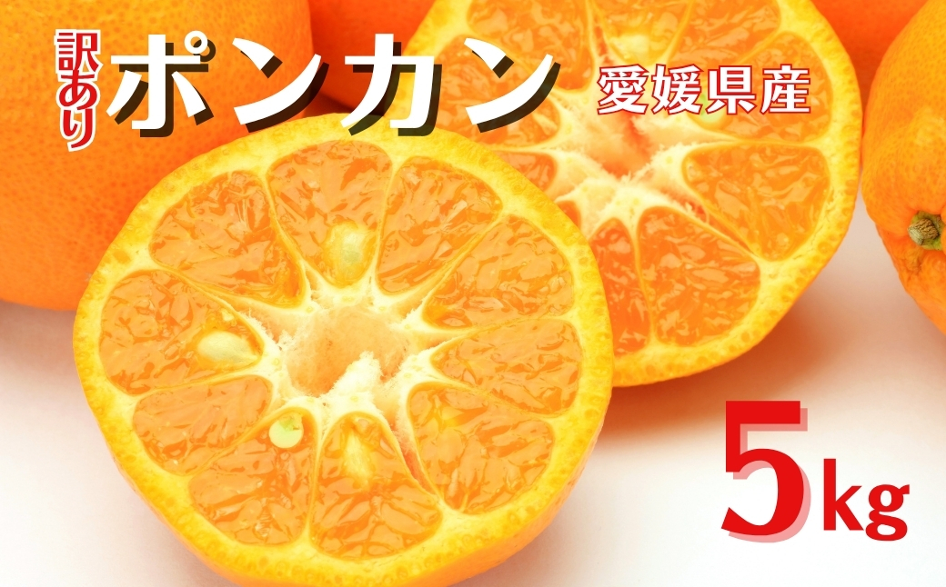 訳あり ポンカン 5kg ご家庭用 みかん 人気 数量限定 先行予約 柑橘 伊予市 【2026年1月中旬以降順次発送】｜B147