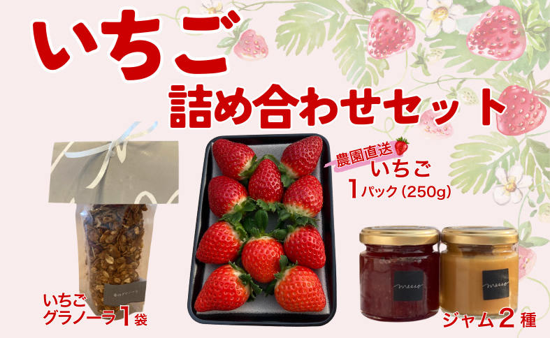 イチゴジャム 無添加 いちご くぼなか農園 ミルクジャム 柑橘 マーマレード グラノーラ 数量限定 農園直送 愛媛  伊予市｜B199