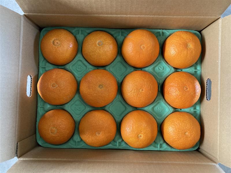 ã¿ãã æåªç ææ28å· 3kg åªå ã¬ãã¹ã«ãã¡ãŒã çŽ
ãŸã©ããªãšåäžåçš®ã2026幎11æäžæ¬ããé æ¬¡çºéäºå®ãå
è¡äºçŽ æ°ééå® ãåãå¯ã ãããã çŸå³ãã ãããã ã°ã«ã¡ ãã«ãŒã ãã ãã® æåªçç£ äººæ° ææ© äŒäºåžïœB252