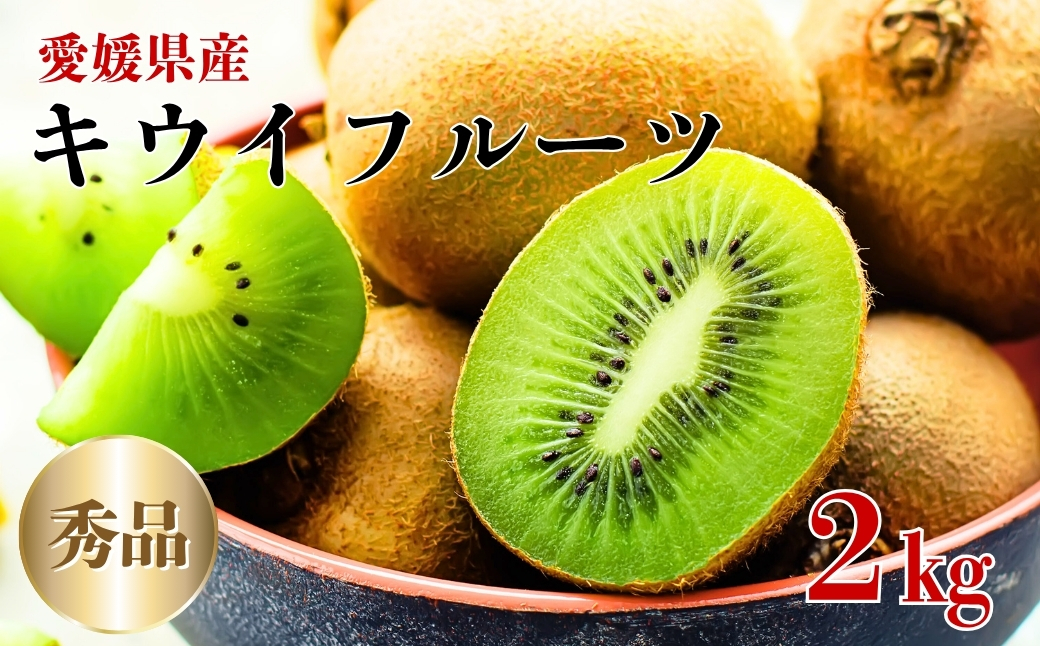 【2026年先行予約】キウイ キウイフルーツ 2kg 秀品 【糖度14度～16度】【2026年11月初旬以降発送】 人気 数量限定 キウイ 愛媛 伊予市｜B152