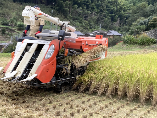 お米 5kg コシヒカリ 精米 されだにホタル米 新米 | B111