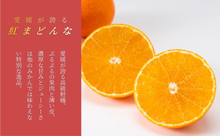 【間もなく終了】紅まどんな 1.5kg (5～13個) ご家庭用 愛媛みかん 愛果28号 紅マドンナ まどんな マドンナ みかん ミカン 蜜柑 果物 くだもの フルーツ 柑橘 かんきつ 柑橘類 愛媛果試第28号 あいか おすすめ 人気 お取り寄せ 国産 愛媛 伊予市【数量限定】＜2025年12月発送＞｜B249