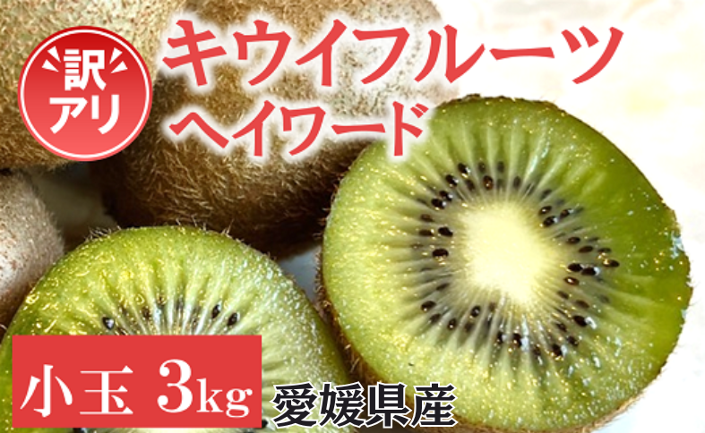 訳あり キウイ 3kg 小玉 愛媛 国産 キウイフルーツ 規格外 数量限定 伊予市 【2024年11月配送】｜B264