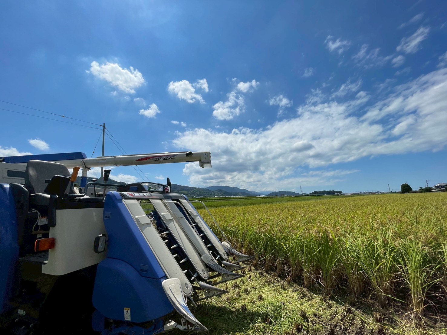 お米 令和7年産 5kg コシヒカリ  特別栽培米  先行予約  【2025年10月以降発送】 精米 米 こめ コメ 白米 ごはん ライス 愛媛 伊予市｜C151