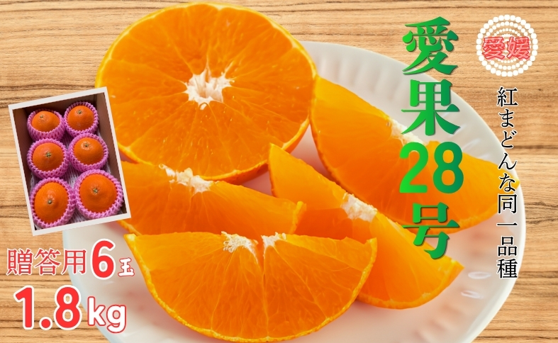 【2026年先行予約】 みかん 愛果28号 1.8kg 6玉 贈答用 紅まどんな同一品種 【2026年12月以降順次発送予定】 愛媛 数量限定 愛媛県産 人気 柑橘 フルーツ 国産 おすすめ 伊予市｜B534