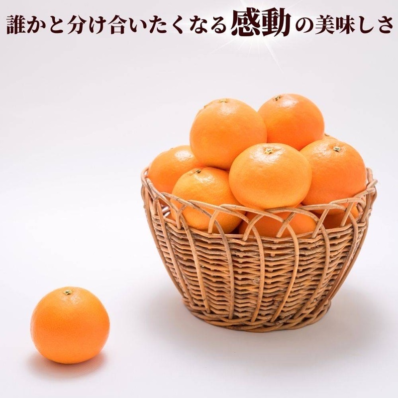 【2026年先行予約】 みかん 愛果28号 1.8kg 6玉 贈答用 紅まどんな同一品種 【2026年12月以降順次発送予定】 愛媛 数量限定 愛媛県産 人気 柑橘 フルーツ 国産 おすすめ 伊予市｜B534