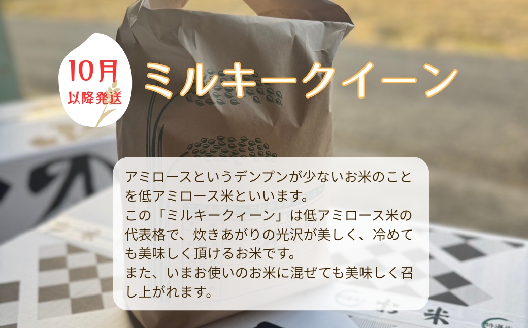 お米 令和7年産 5kg ミルキークイーン 特別栽培米  先行予約 【2025年10月以降発送】 精米 米 こめ コメ 白米 ごはん ライス 愛媛 伊予市｜C152