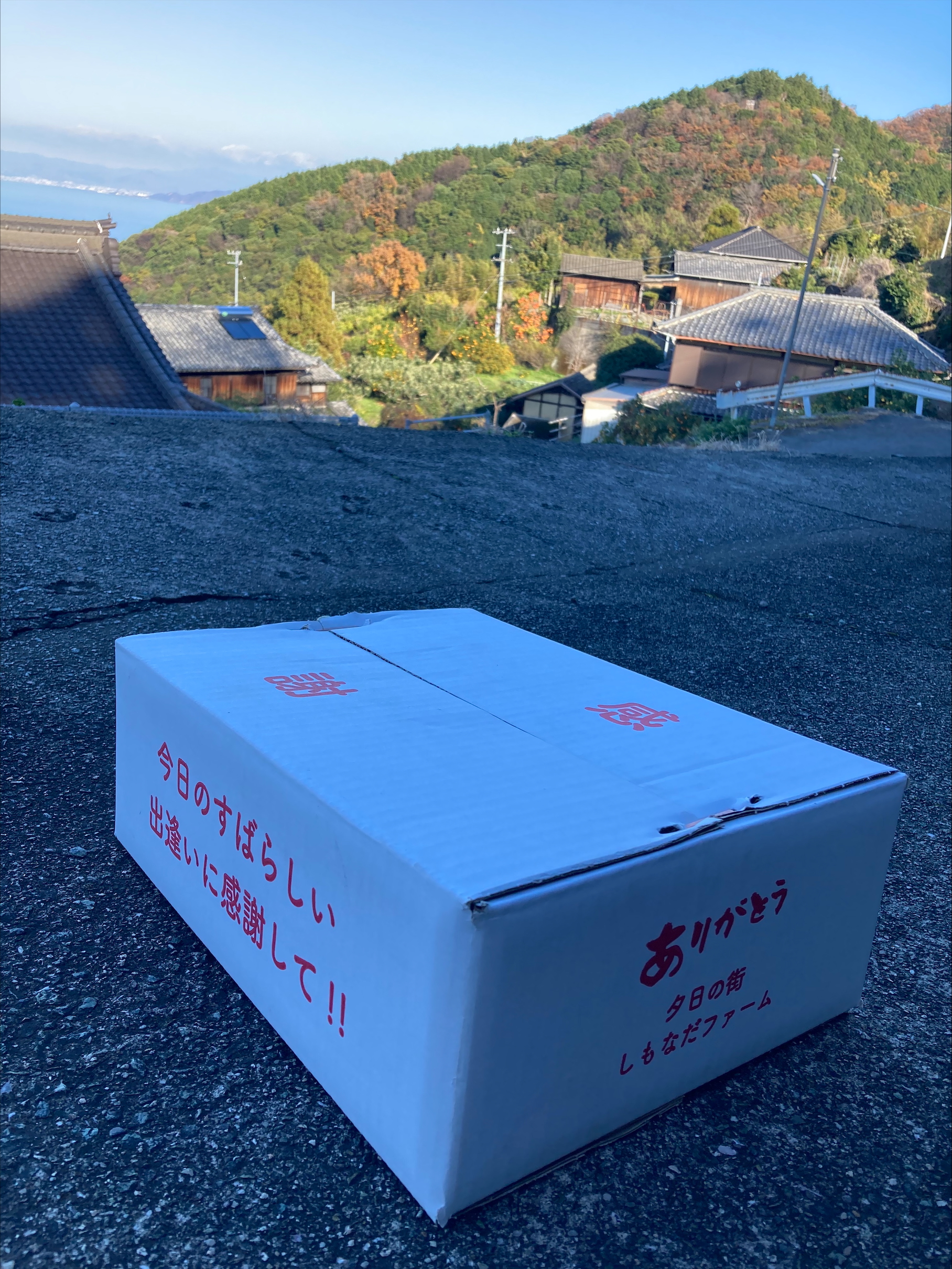 ã¿ãã ææ28å· Mãµã€ãº 14ç èŽççš çŽ
ãŸã©ããªãšåäžåçš® 蟲åçŽé å
è¡äºçŽ ã2026幎11æäžæ¬ããé æ¬¡çºéäºå®ã æåª æ°ééå® æåªçç£ äººæ° ææ© äŒäºåžïœ B530