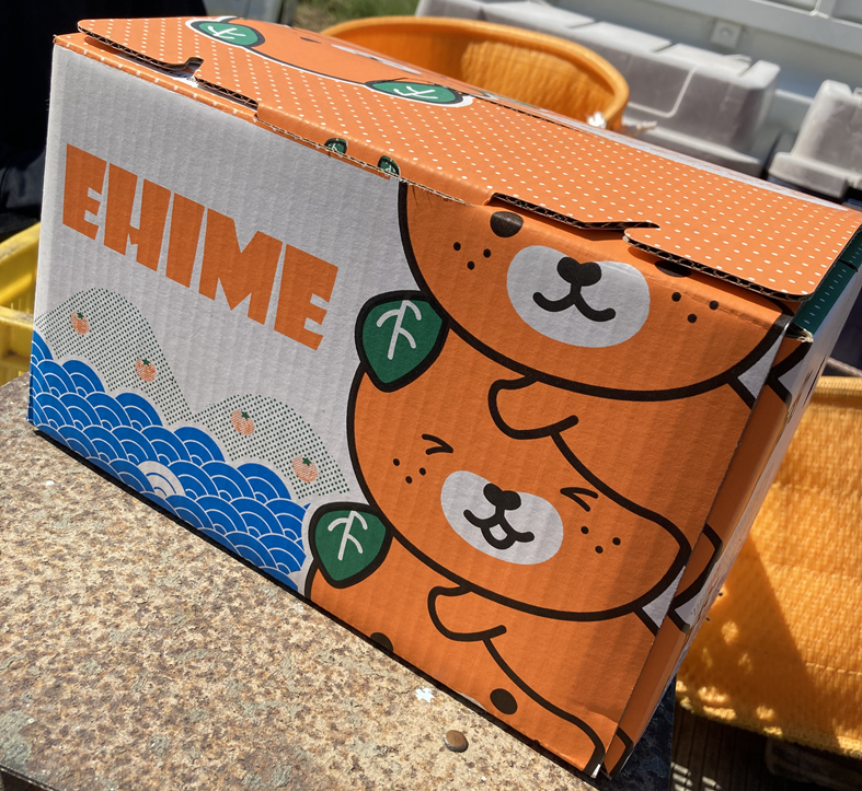 レモン 3kg ご家庭用 バラ詰め ユーレカ 愛媛 【2026年10月から順次発送予定】 数量限定 檸檬 柑橘 フルーツ ビタミン 国産 伊予市｜B459