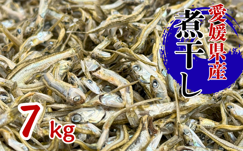 伊予煮干 いりこ 7kg 【10月以降発送】 伊予灘産 瀬戸内海 出汁 料理 おやつ カルシウム 健康 サクサク食感 海の幸 海産物 乾物 魚介類 おつまみ 保存食 特産品 愛媛 伊予市｜D47