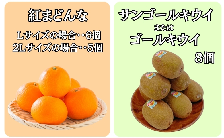 にこまる様　キウイ１kg＆湘南ゴールド2kg＆不知火 ダブルゴールドグミ 爽やかな酸味と豊かな甘い香り🥰 🟡神奈川県産湘南