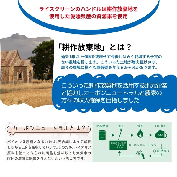 歯ブラシ お米歯ブラシ ライスクリーン ふつう 6本 【3色×2本】お米でできた歯ブラシ オーラルケア ハブラシ 山陽物産｜B439