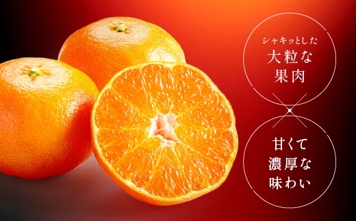 ã2027幎å
è¡äºçŽãçå¹³ ã¿ãã æåª çŽ3kg Mïœ3Lãµã€ãºæ··å æ°ééå® å
è¡äºçŽ ææ© äŒäºåžã2æäžæ¬ããé æ¬¡çºéäºå®ãïœB553