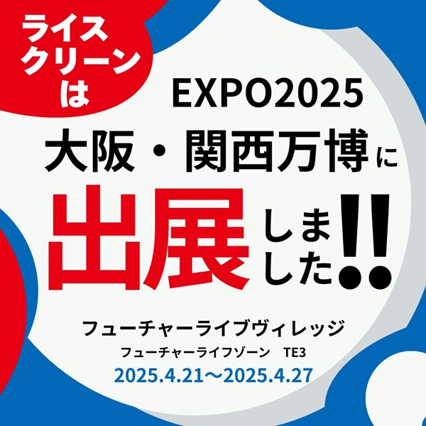 歯ブラシ お米歯ブラシ ライスクリーン ふつう 6本 【3色×2本】お米でできた歯ブラシ オーラルケア ハブラシ 山陽物産｜B439