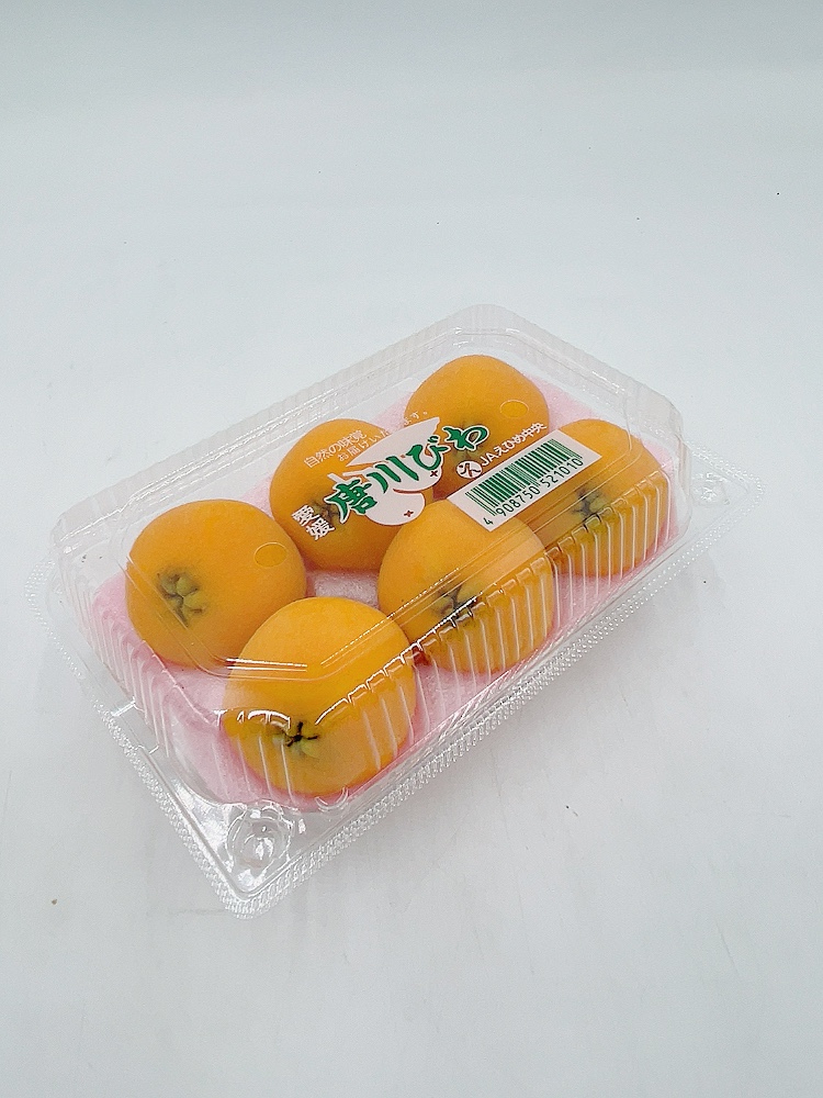 びわ 唐川びわ 先行予約 350g×6パック入り【2026年5月下旬以降発送】｜B124