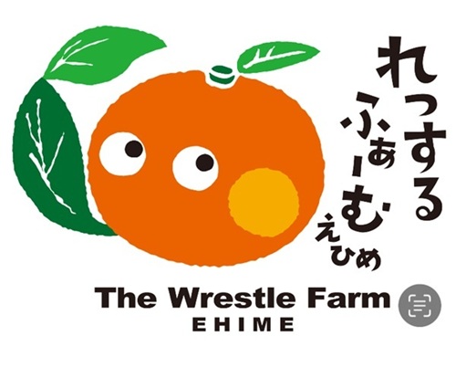 ã¿ãã æåªç ææ28å· 3kg åªå ã¬ãã¹ã«ãã¡ãŒã çŽ
ãŸã©ããªãšåäžåçš®ã2026幎11æäžæ¬ããé æ¬¡çºéäºå®ãå
è¡äºçŽ æ°ééå® ãåãå¯ã ãããã çŸå³ãã ãããã ã°ã«ã¡ ãã«ãŒã ãã ãã® æåªçç£ äººæ° ææ© äŒäºåžïœB252