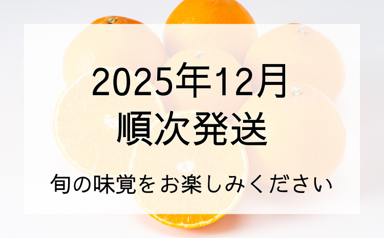 【間もなく終了】紅まどんな 1.5kg (5～13個) ご家庭用 愛媛みかん 愛果28号 紅マドンナ まどんな マドンナ みかん ミカン 蜜柑 果物 くだもの フルーツ 柑橘 かんきつ 柑橘類 愛媛果試第28号 あいか おすすめ 人気 お取り寄せ 国産 愛媛 伊予市【数量限定】＜2025年12月発送＞｜B249