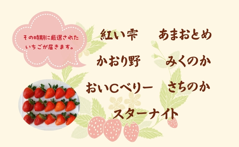いちご 高級 ぜいたく いちご狩り気分 ランダム 4品種食べ比べセット あまおとめ 紅い雫 さちのか おいCベリー スターナイト かおり野 みくのか 数量限定 農園直送 ギフト 愛媛 人気 伊予市 くぼなか農園｜B15