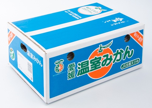 ハウスみかん ご家庭用 5kg 【7月下旬から順次発送予定】 みかん 人気 数量限定 柑橘 愛媛 伊予市｜D126