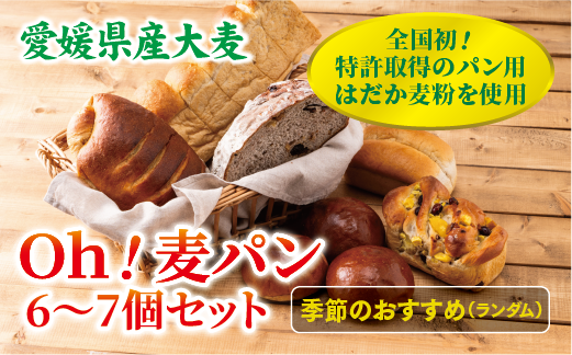 パン 無添加 老舗 6〜7個セット ブレッド おまかせ ランダム 詰め合わせ ブランド認定 学校給食 朝食 朝ごはん 季節 おすすめ はだか麦 国産小麦 国産素材 おやつ こだわり 食物繊維豊富 安心 安全 篠崎ベーカリー 愛媛 伊予市 ｜B67
