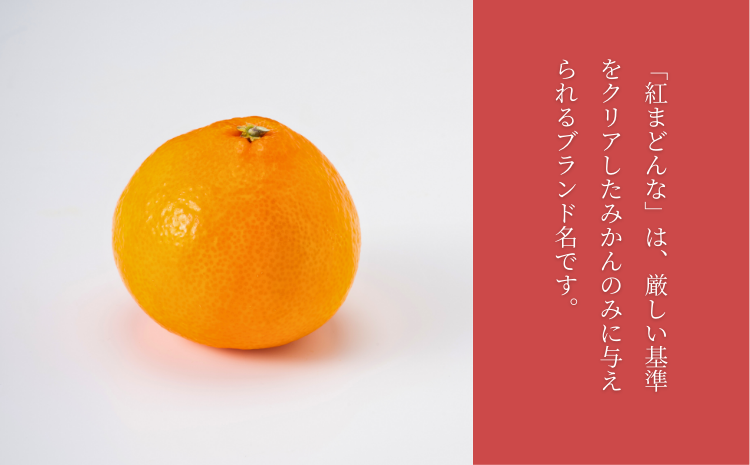 【間もなく終了】紅まどんな 1.5kg (5～13個) ご家庭用 愛媛みかん 愛果28号 紅マドンナ まどんな マドンナ みかん ミカン 蜜柑 果物 くだもの フルーツ 柑橘 かんきつ 柑橘類 愛媛果試第28号 あいか おすすめ 人気 お取り寄せ 国産 愛媛 伊予市【数量限定】＜2025年12月発送＞｜B249
