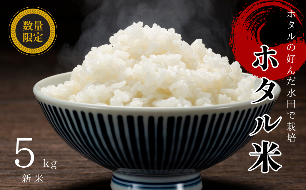 お米 5kg コシヒカリ 精米 されだにホタル米 新米 | B111