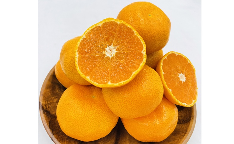 ハウスみかん ご家庭用 2kg 【7月下旬から順次発送予定】 みかん 人気 数量限定 柑橘 愛媛 伊予市｜B547