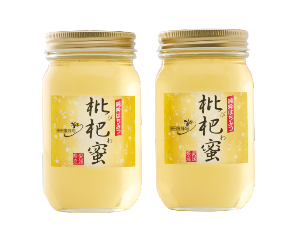 はちみつ びわ蜜×２本【2026年1月末以降発送】藤田養蜂場 ハチミツ 蜂蜜 ｜B38