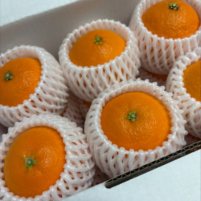 みかん 愛果28号 Lサイズ 12玉（みきゃん箱）【2026年11月下旬から順次発送予定】先行予約 紅まどんなと同一品種 愛媛 人気 柑橘 国産 フルーツ 伊豫果園 伊予市｜B527